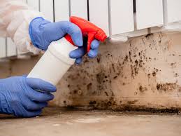 Mold Documentation for Insurance Claims in Bayshore Gardens, FL